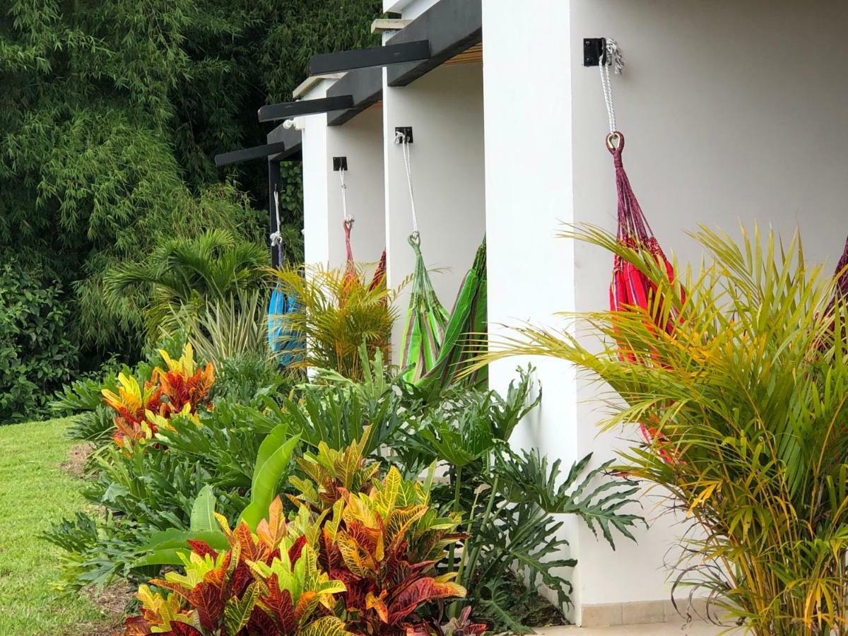 Hotel Boutique La Ceiba كويمبايا المظهر الخارجي الصورة